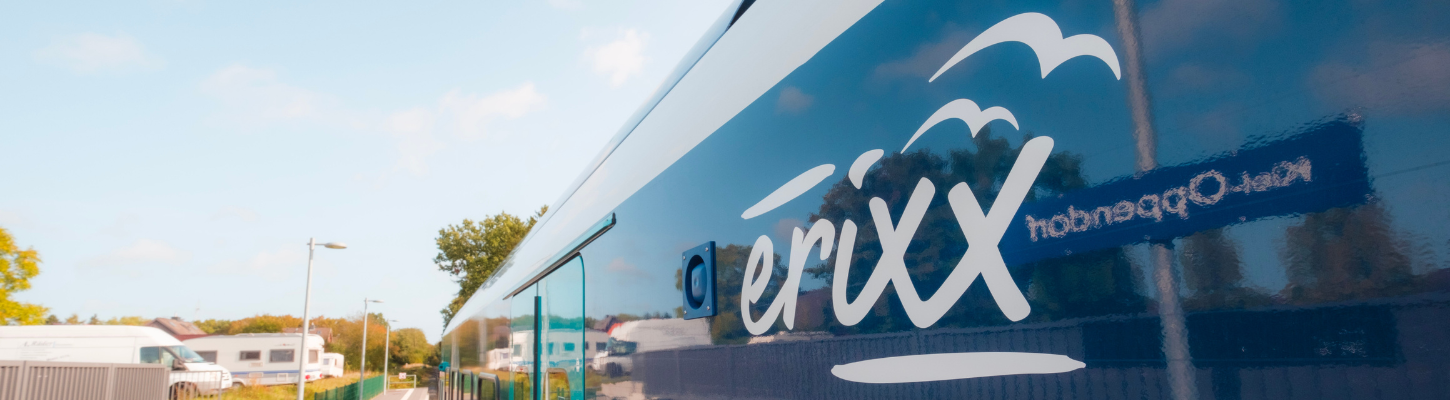 Teaser erixx holstein en