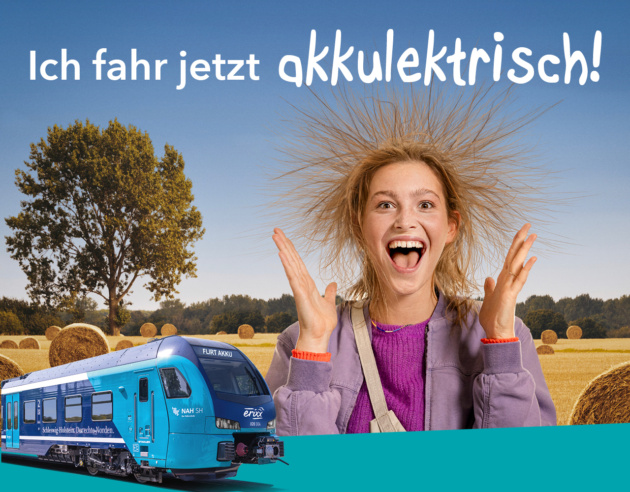 Erixx Holstein Website 1280x1000px 20231005 