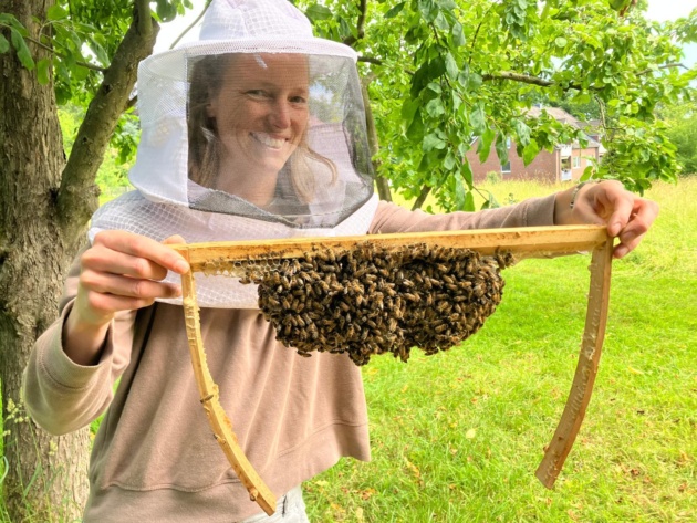 Bienen AG Naturbau 