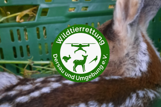 Titelbild Wildtierrettung 