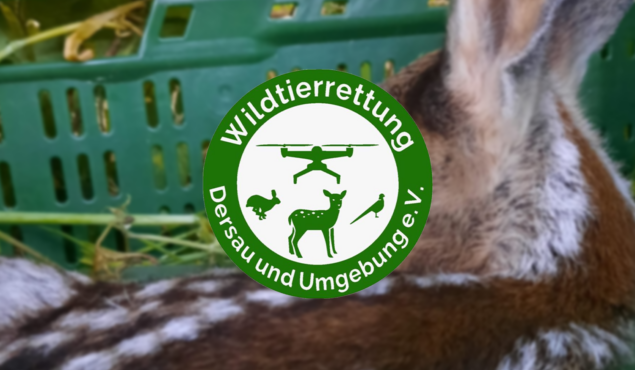 Wildtierrettung Dersau und Umgebung 
